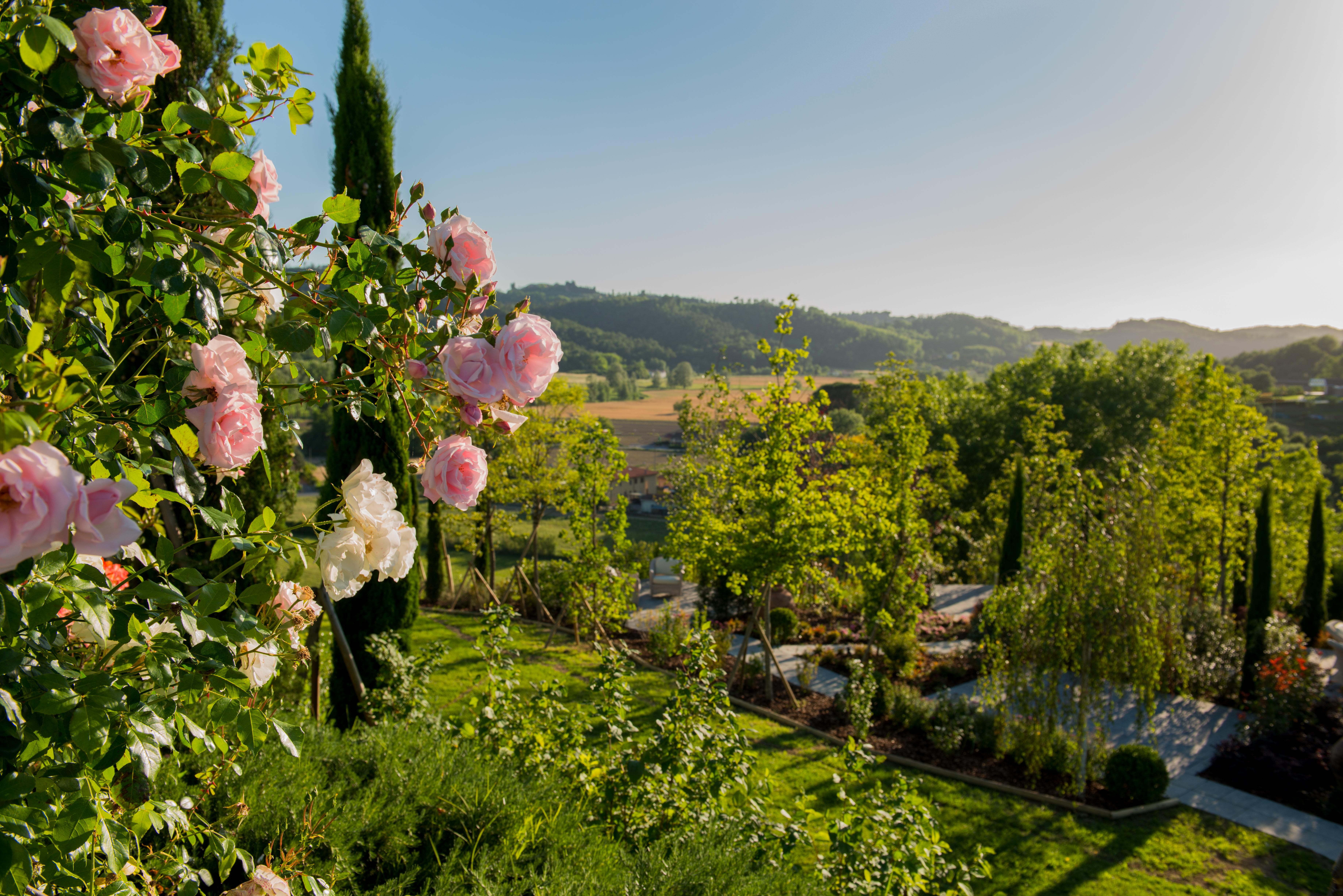 Отель Relais Sassa Al Sole Сан-Миниато Экстерьер фото